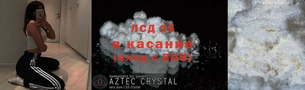 прущие крисы Аркадак