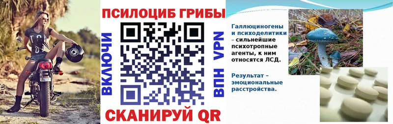 мега ТОР  Кулебаки  Псилоцибиновые грибы прущие грибы 