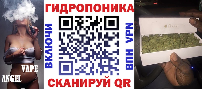 kraken вход  Кулебаки  Каннабис сатива 
